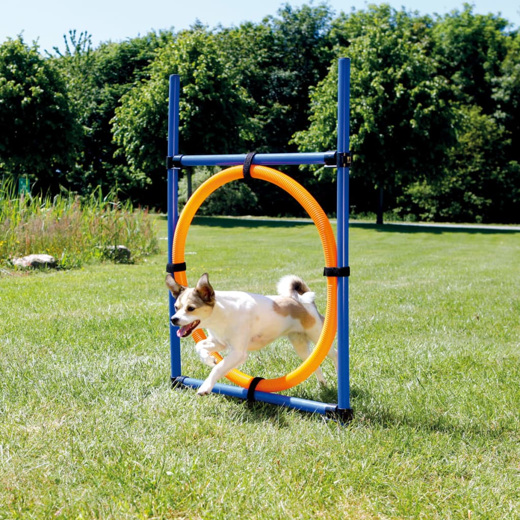 VidaXL - TRIXIE Honden behendigheidsring 115x3 cm plastic 3208