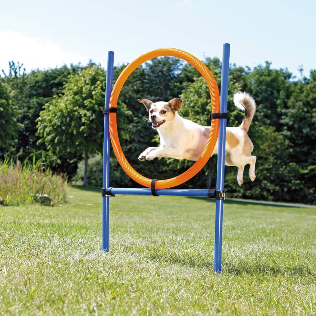 Afbeelding Trixie dog activity agility ring blauw / oranje 65x3x115 cm door Vidaxl.nl