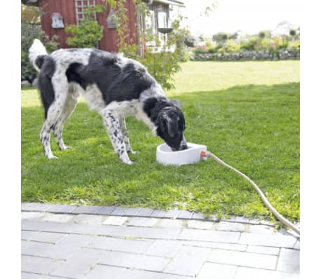 Trixie Automatic Pet Water Feeder Plastic Vidaxl Ie