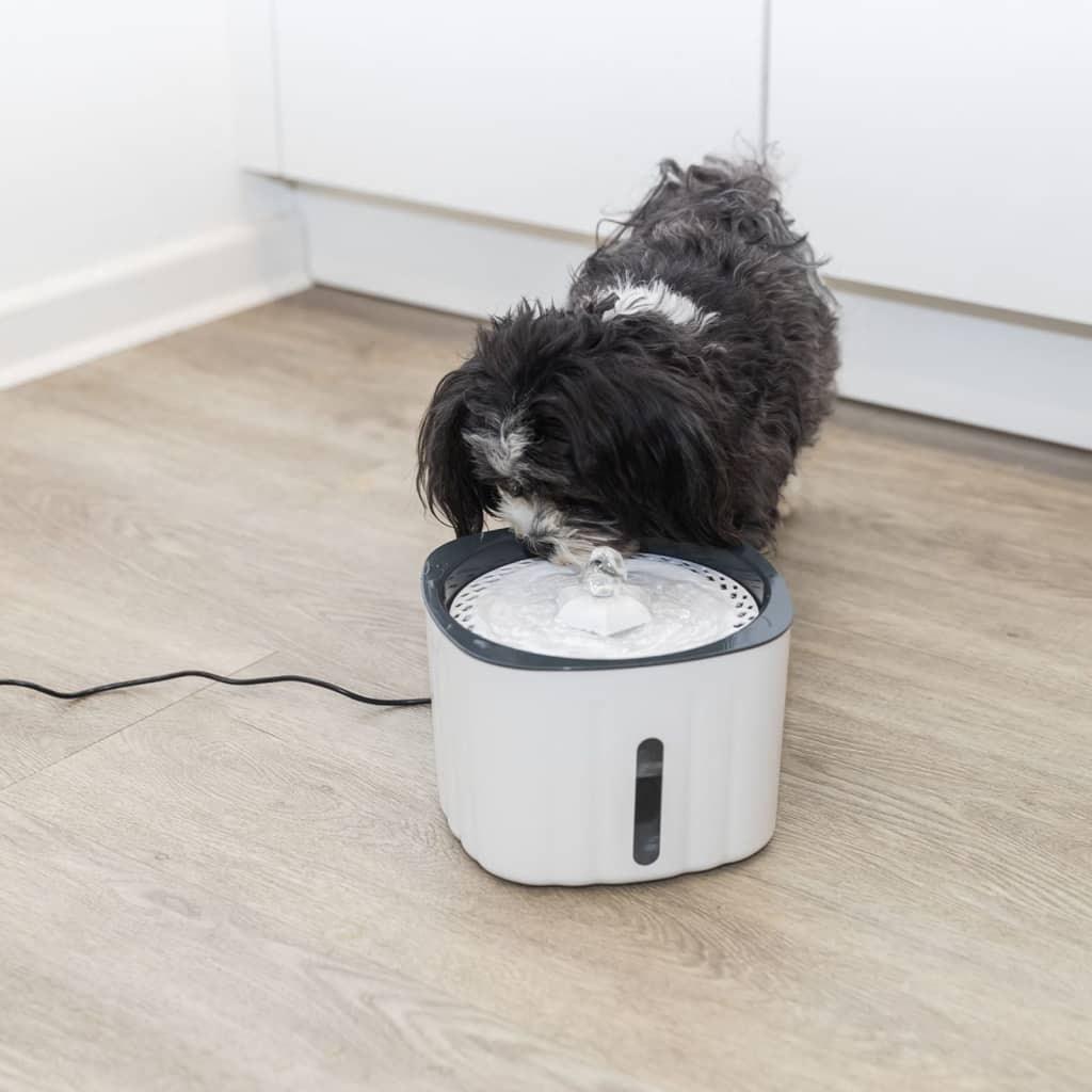 TRIXIE Fontaine à eau animaux de compagnie en forme fleur Blanc gris