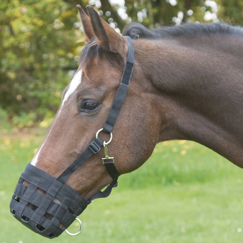 Covalliero Muselière pour cheval taille poney Noir