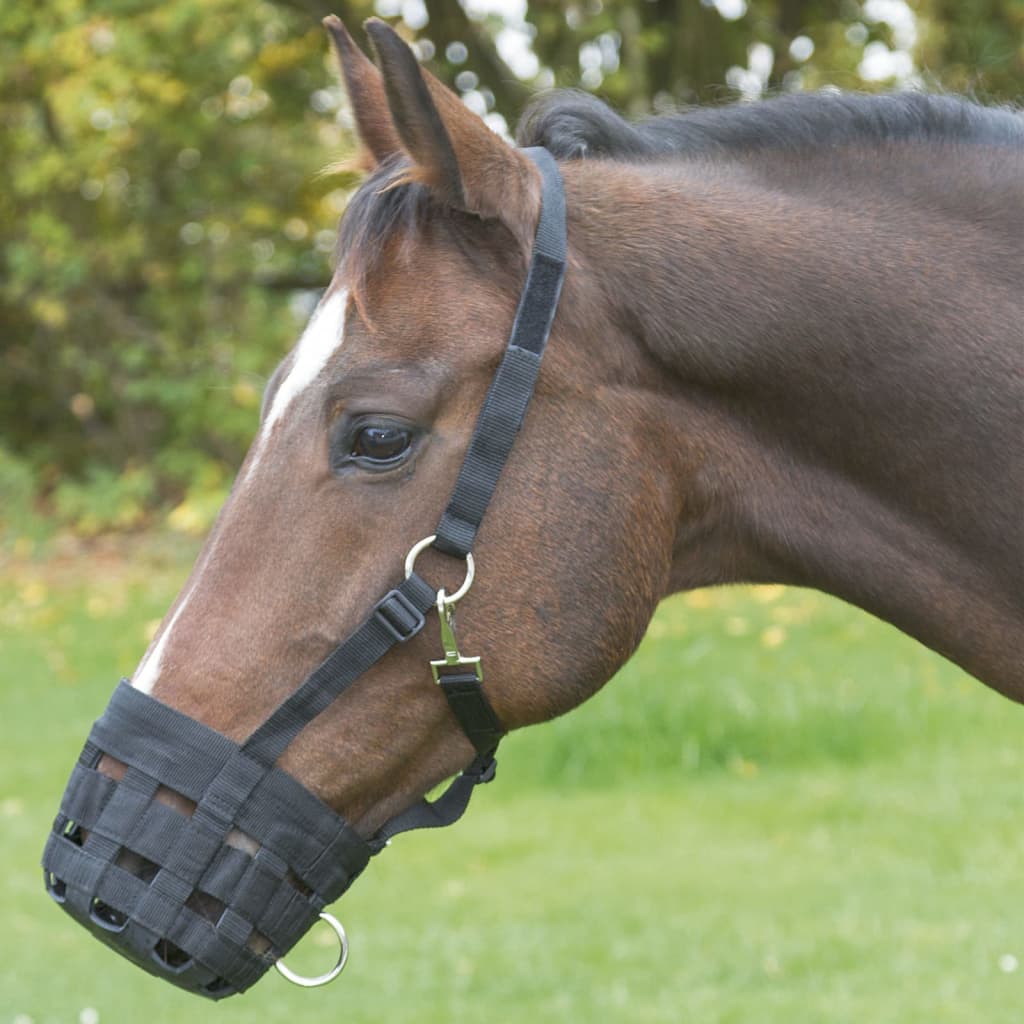 Graas Muilkorf Warmbloed