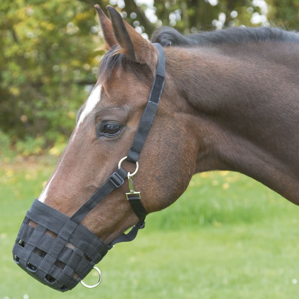 Covalliero mundkurv til hest str. Full sort