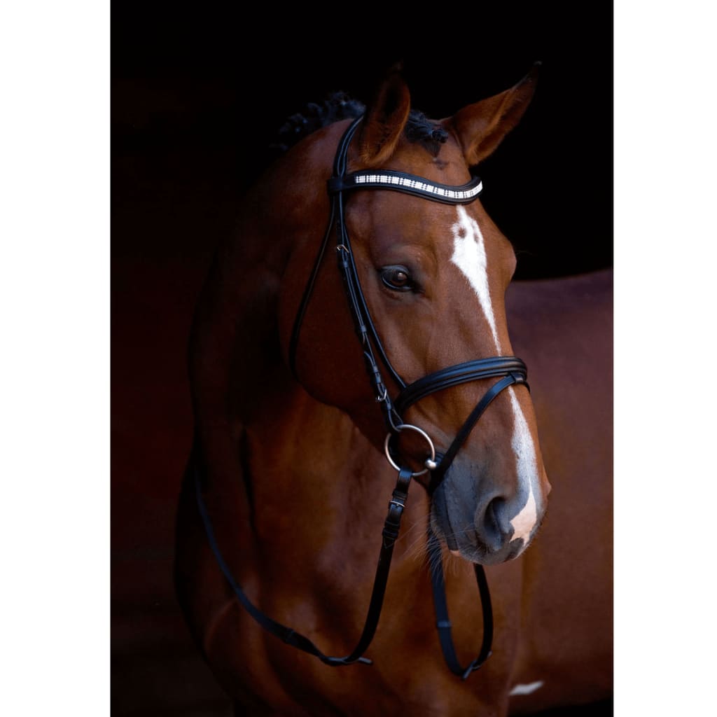 Afbeelding Kerbl Hoofdstel Shine-On leer pony 323555 door Vidaxl.nl