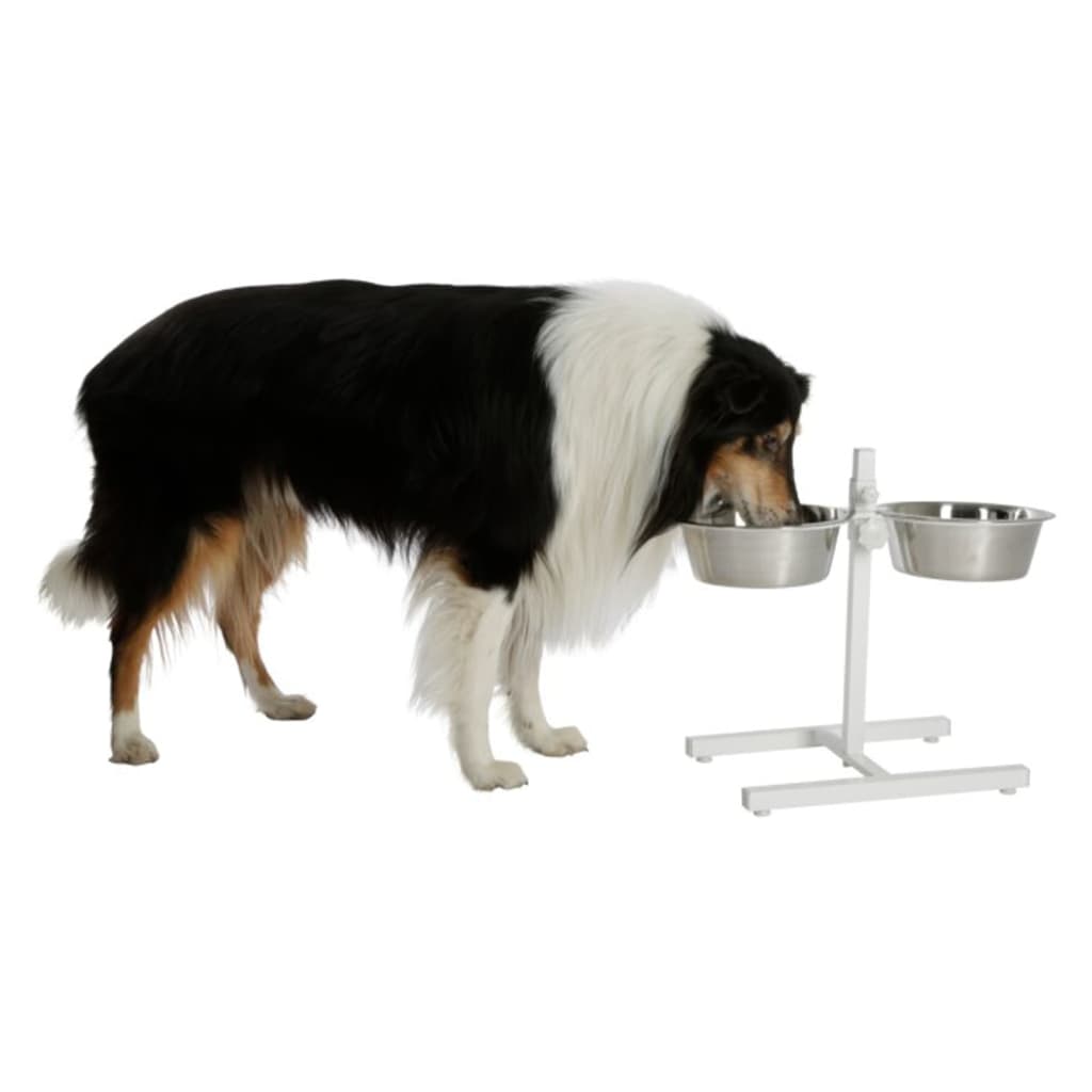 No Spill Dog Dish Adjusts to 3 Heights Adjustable Elevated Dog Bowl - China Pet  Food Feeder Bowl and Raised Dog Bowl for Large Medium Small Dogs price