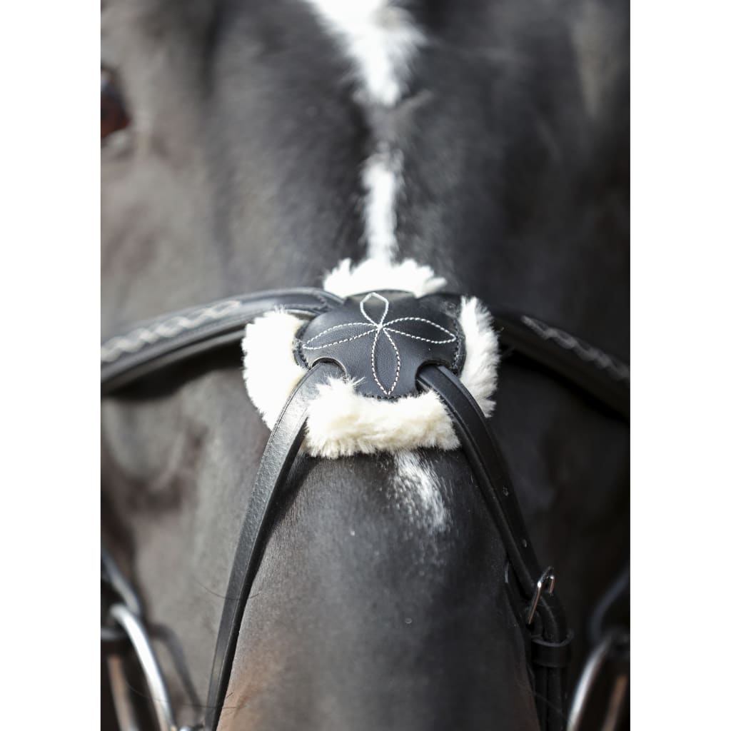 

Covalliero Hoofdstel Cancun Cob zwart