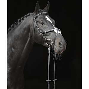 Covalliero Bissel Cancun hest svart