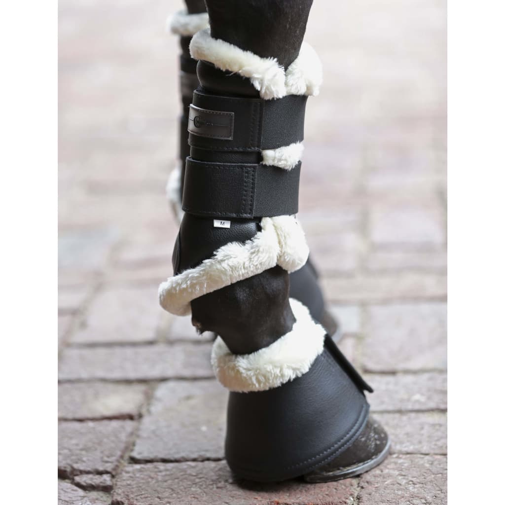 

Covalliero Beenbeschermers Pelisa Pony S zwart