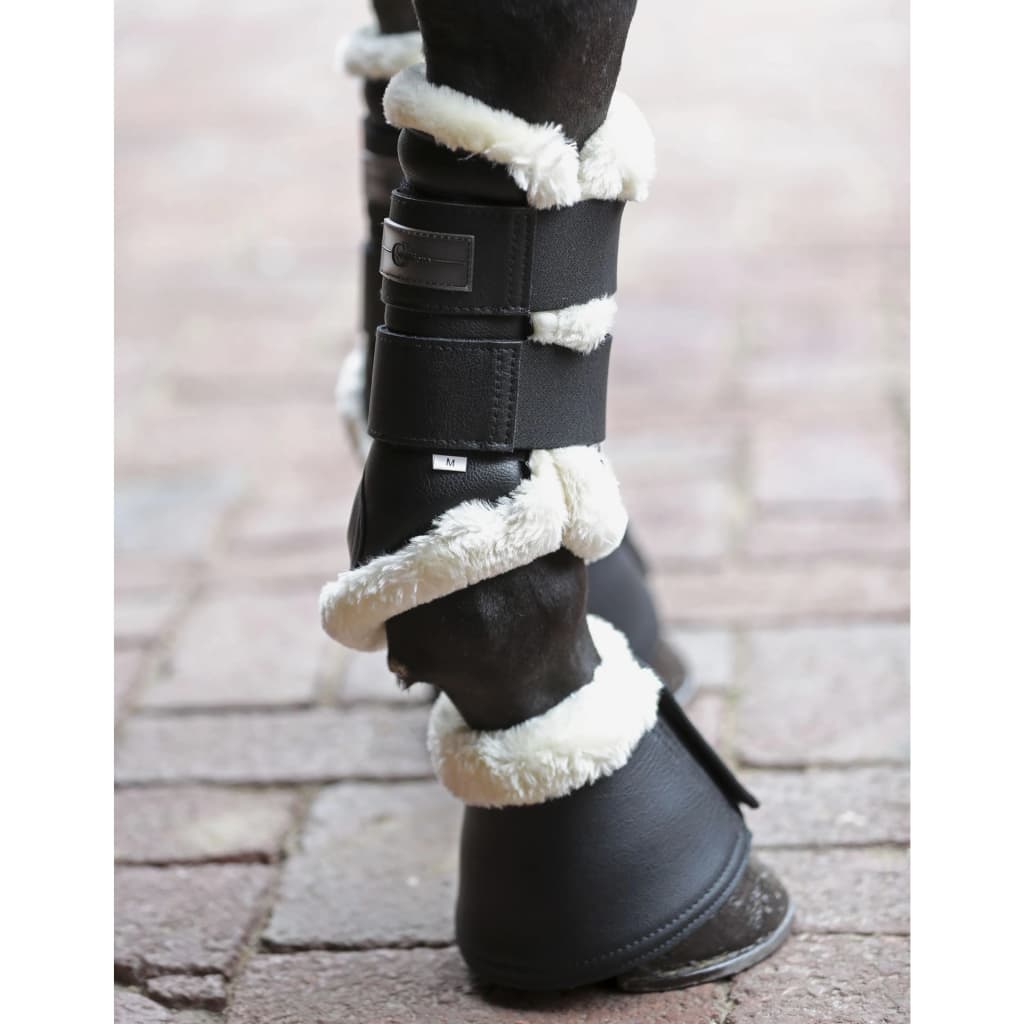 Covalliero Beenbeschermers Pelisa Cob M zwart afbeelding