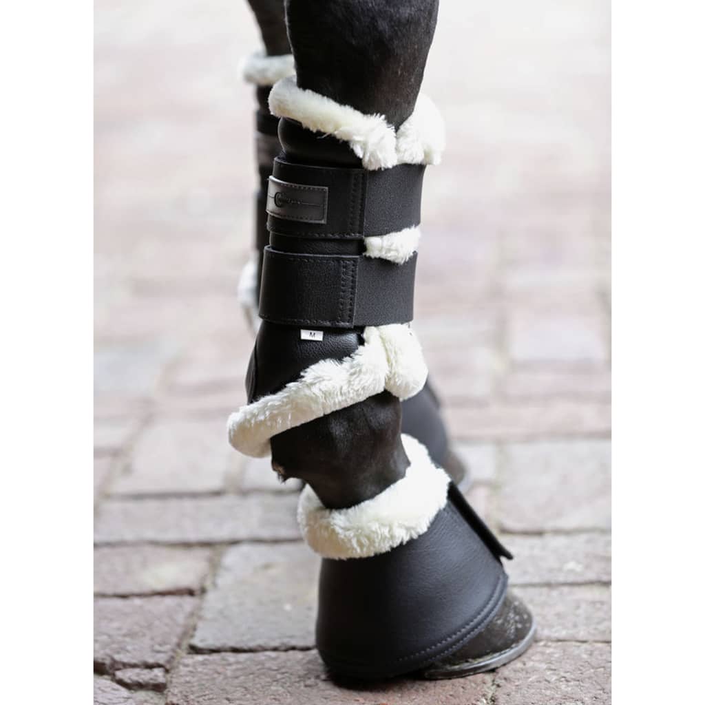 

Covalliero Beenbeschermers Pelisa Full L zwart