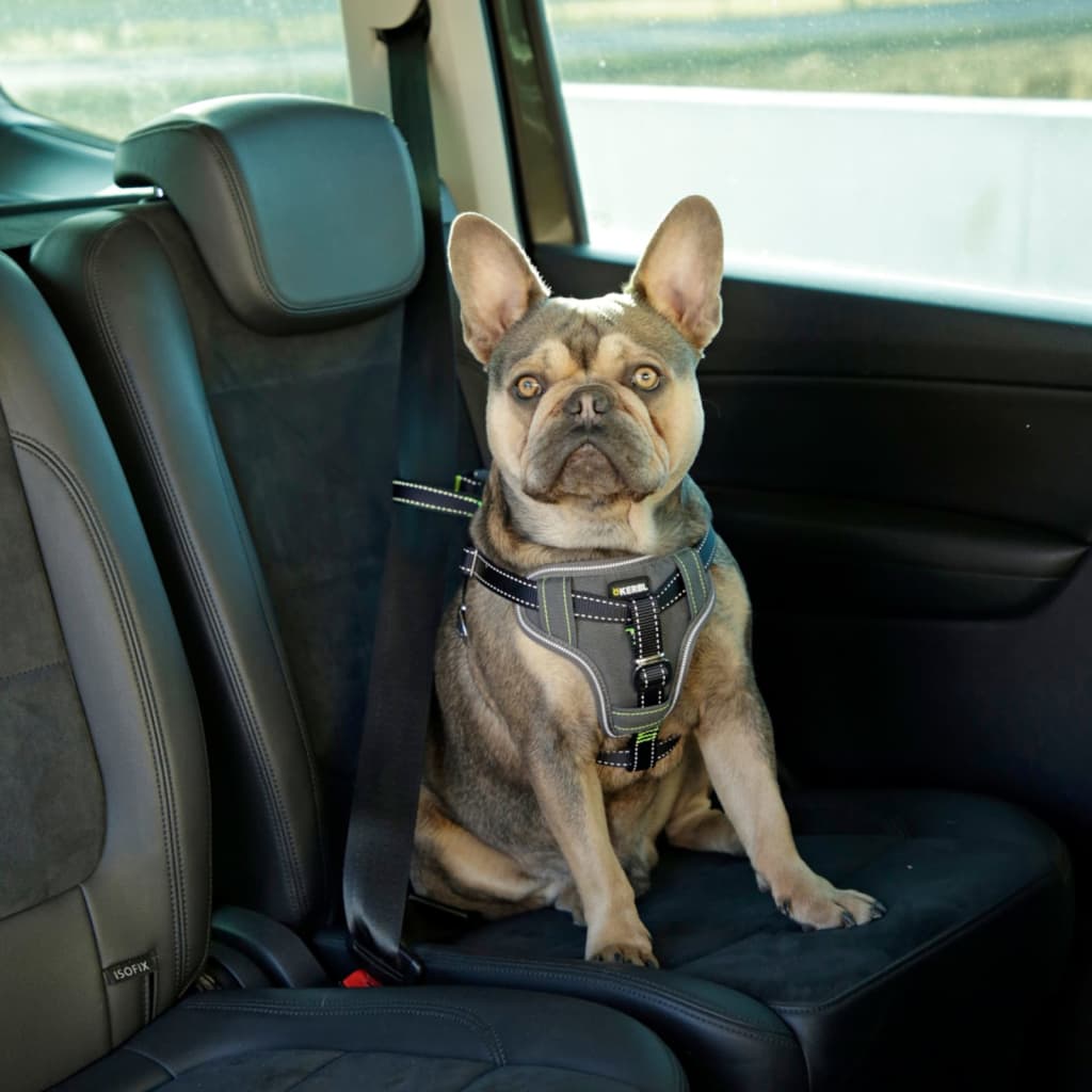  Barrera de red de coche para perros, para viajes, mascotas,  barrera para asiento trasero de mascotas, organizador de malla de 3 capas,  bolsillo elástico para conducir de forma segura, soporte para