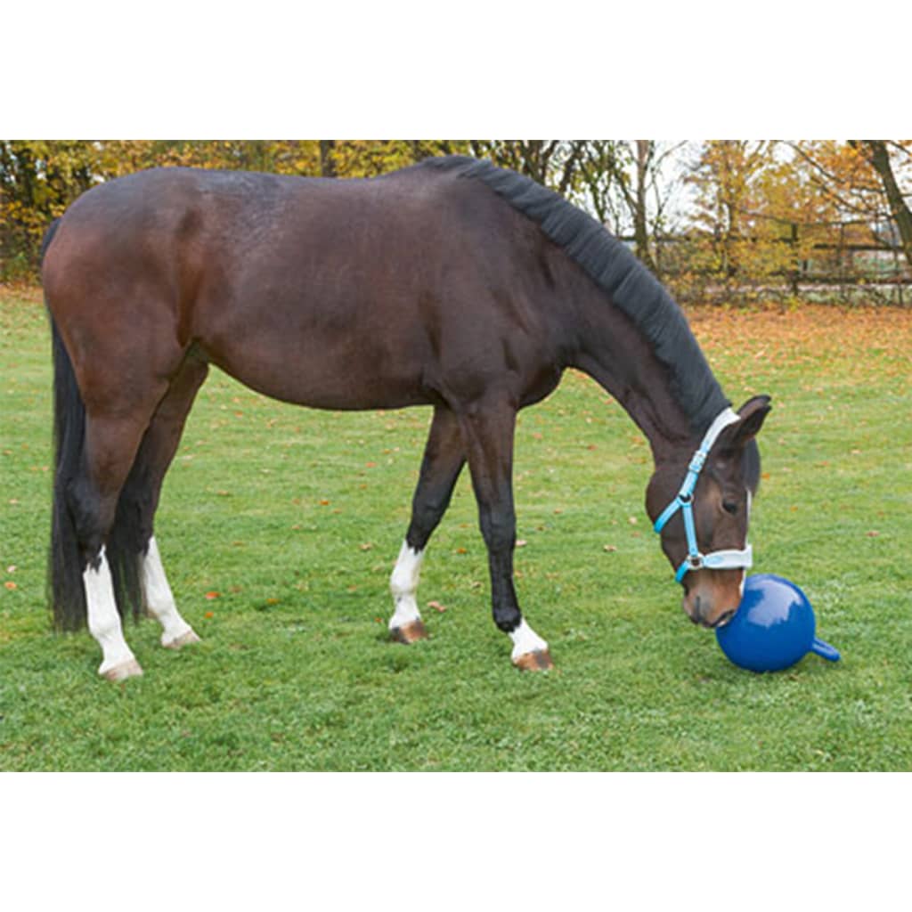 VidaXL - Kerbl Paarden speelbal blauw 25 cm 32399