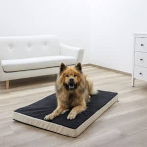 Kerbl Matelas en mousse pour chiens 115 x 75 cm Beige et Gris 80328