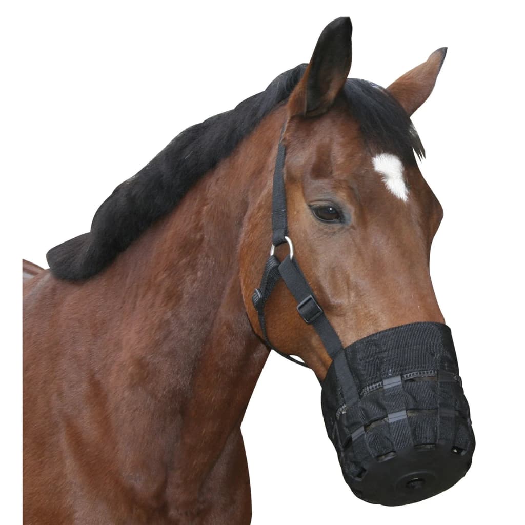 Covalliero Paardenmuilkorf Shetty zwart afbeelding