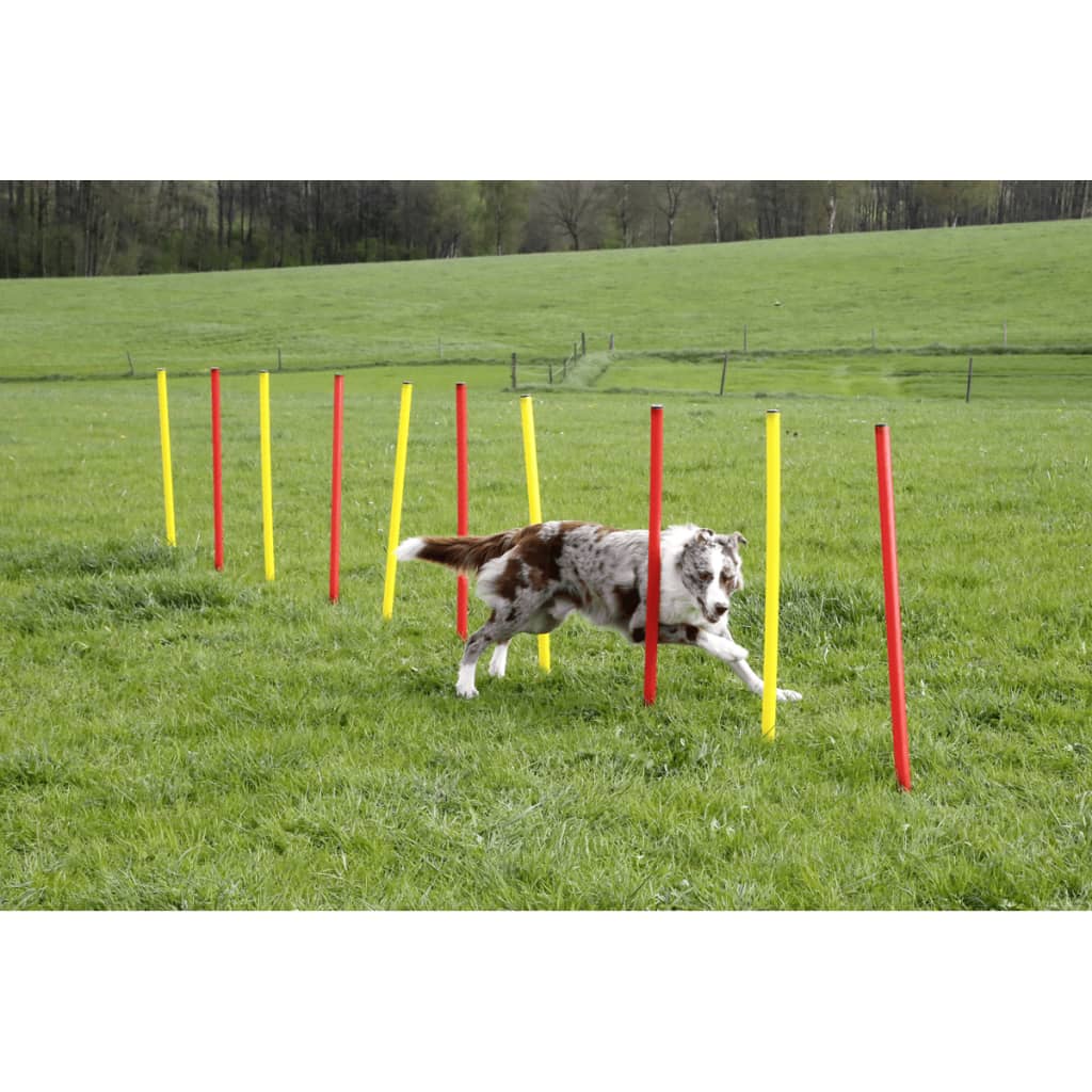 Kit Allenamento Agility Per Cani Rosso 80758 Kerbl 21 width=274