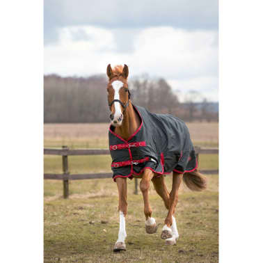 KERBL covalliero Coffre pour Casque pour Cheval