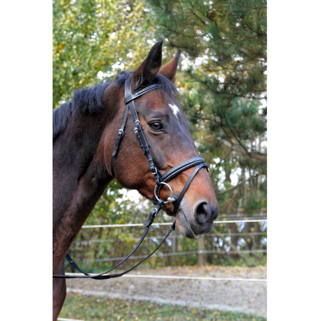 

Kerbl Hoofdstel Classic leer zwart pony 326137
