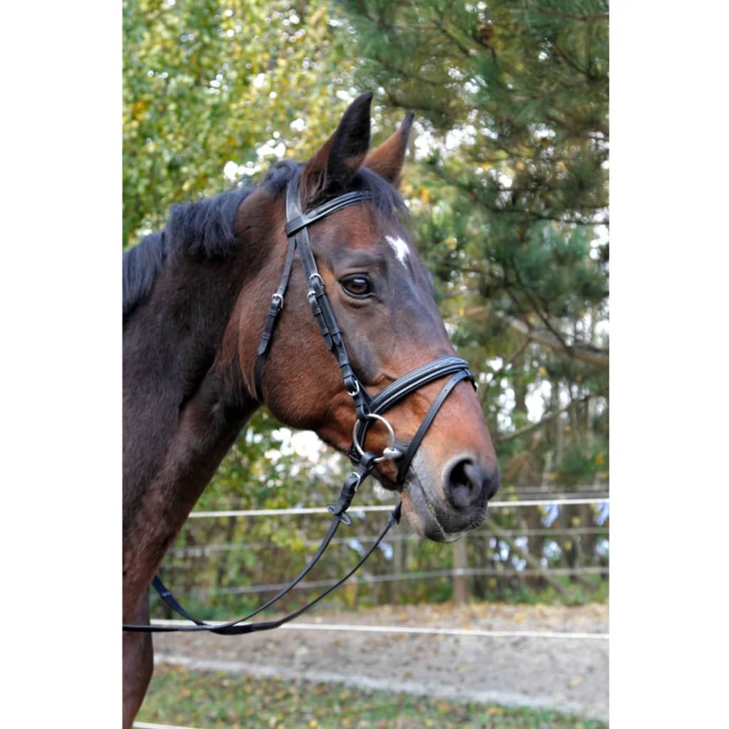 

Kerbl Hoofdstel Classic leer zwart paard 326139