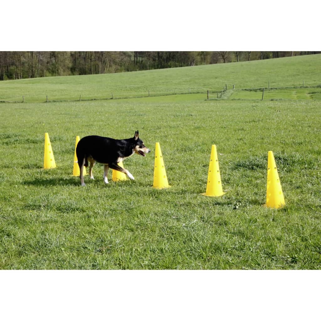 Kit complet Agility parcours d'obstacles en 3 parties pour chien KERBL