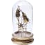 Kare Design Deco Object Insects Tre kare design kopen in de aanbieding Kare Design Deco Object Insects Tre kare design kopen in de aanbieding