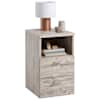 Sand_oak