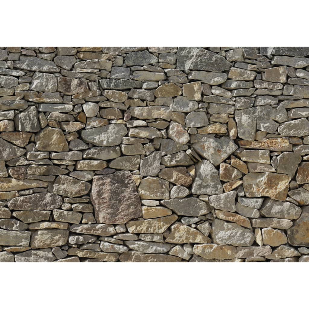 Afbeelding Komar Fotobehang Stone Wall 368x254 cm 8-727 door Vidaxl.nl