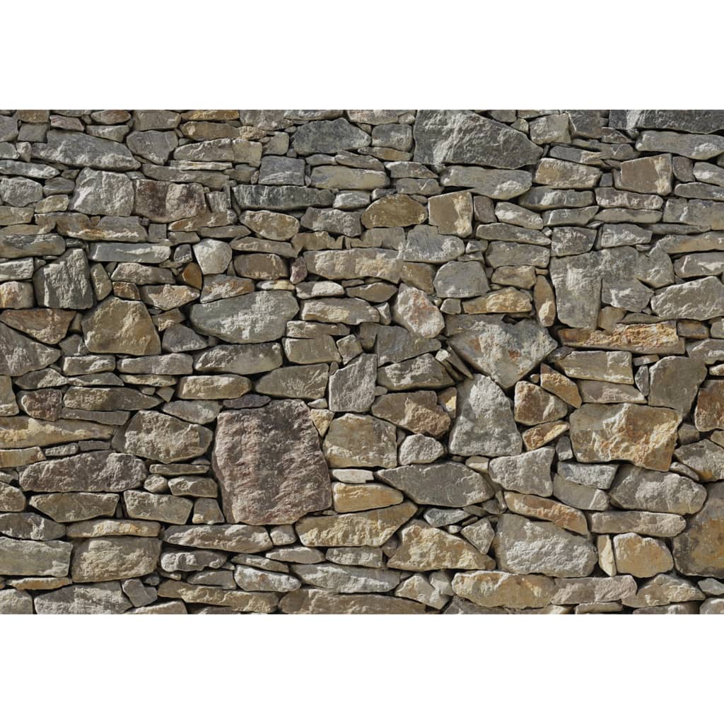 Komar Fotobehang Stone Wall 368x254 cm 8-727