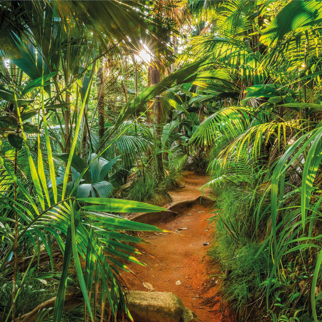 Bilde av Komar Veggmaleri Jungle Trail 368x254 Cm