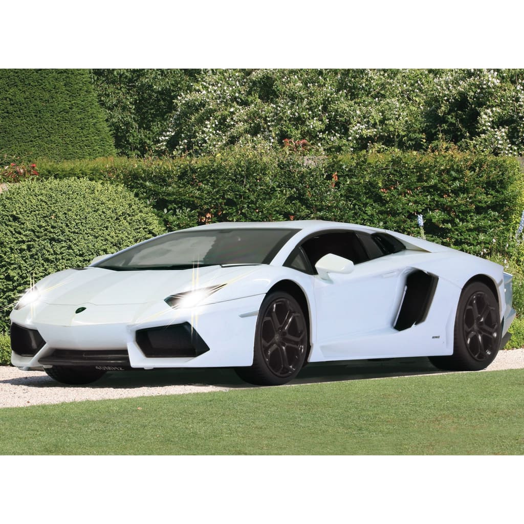 Lamborghini telecommandee online