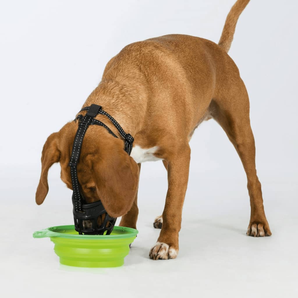 Muselière Pour Chiens Flex Taille M TRIXIE 14 width=274