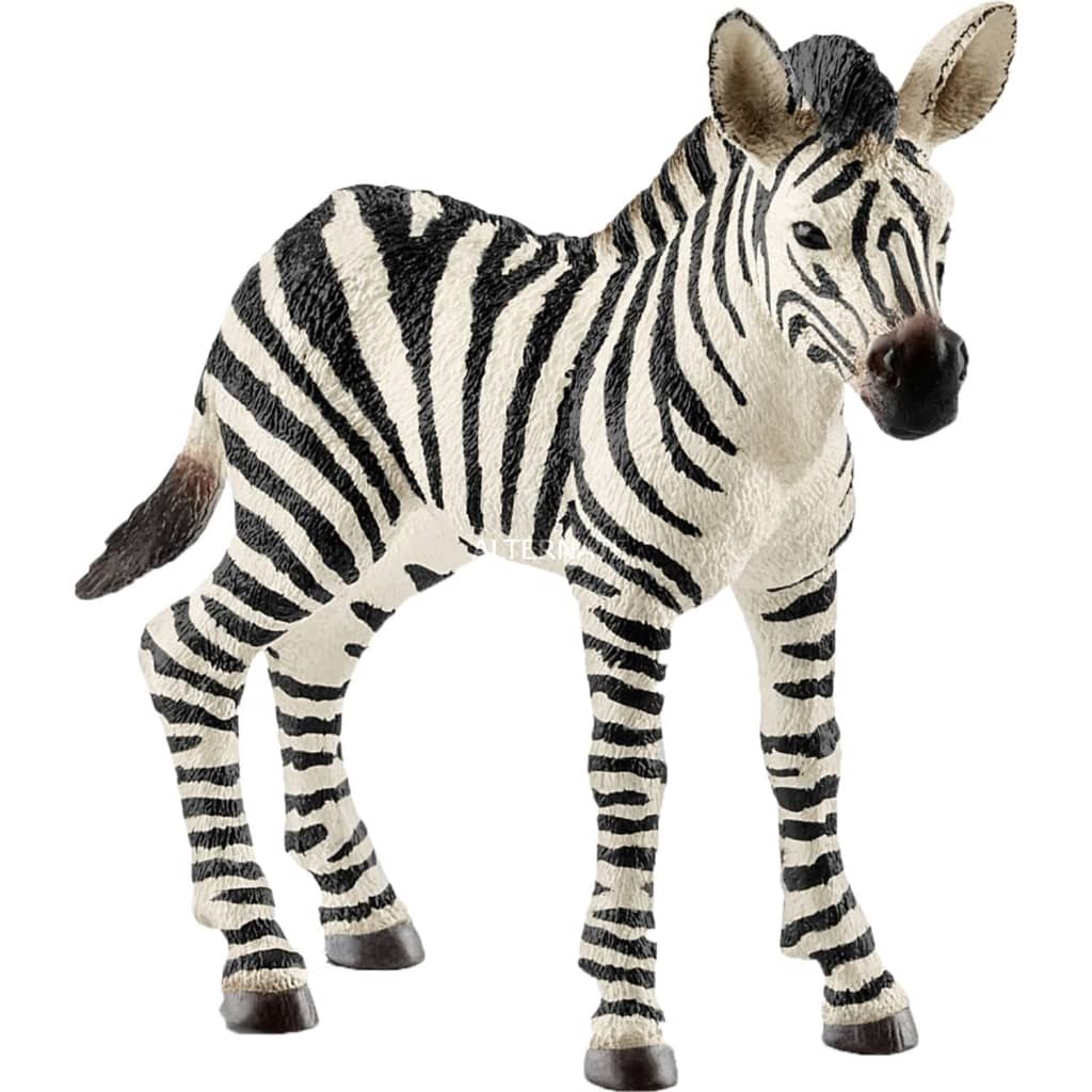 Schleich Safari - Zebra Jong 14811