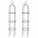 vidaXL Arche de jardin en forme de tour 2 pcs