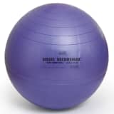 Sissel Pelota de ejercicio Securemax 65 cm morada SIS-160.010