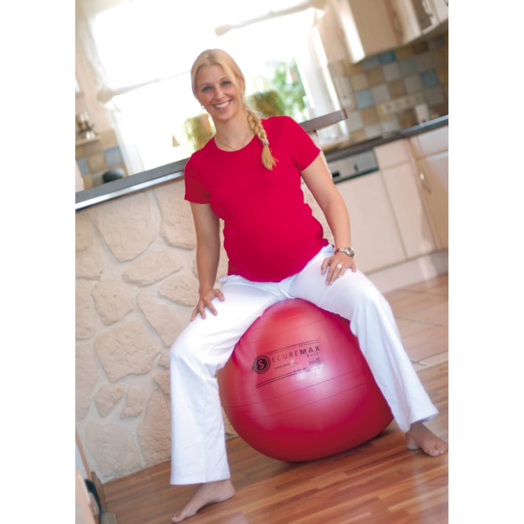 VidaXL - Sissel Zitbal Securemax 55 cm rood SIS-160.011