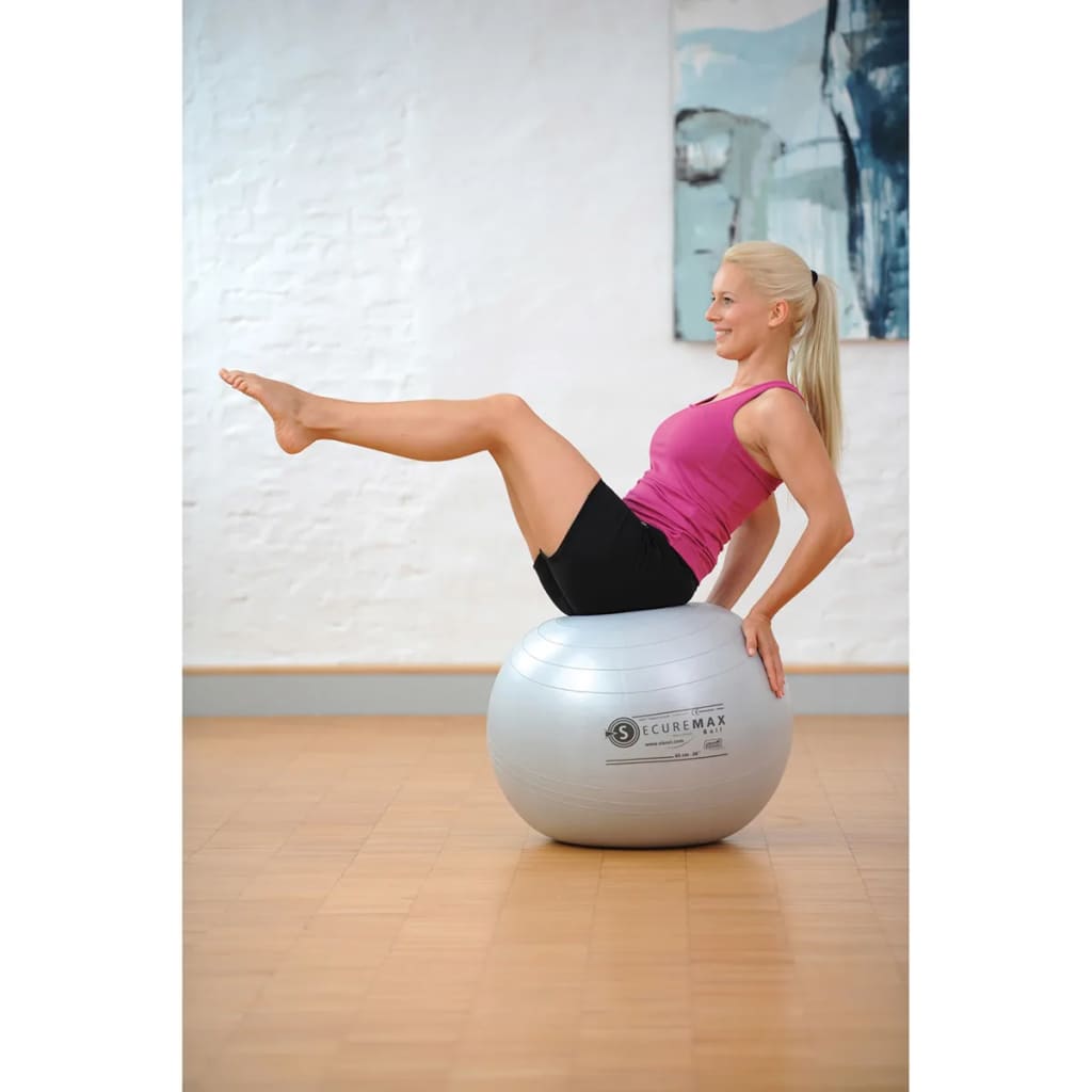 

Sissel Zitbal Securemax 65 cm grijs SIS-160.012