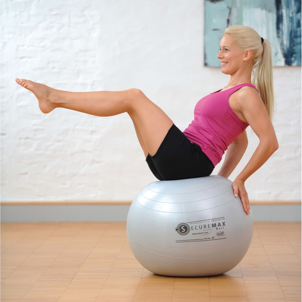 

Sissel Zitbal Securemax 75 cm grijs SIS-160.014