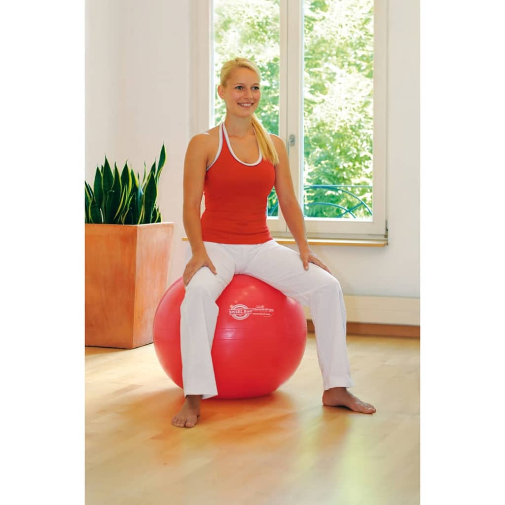 

Sissel Zitbal 65 cm rood SIS-160.062