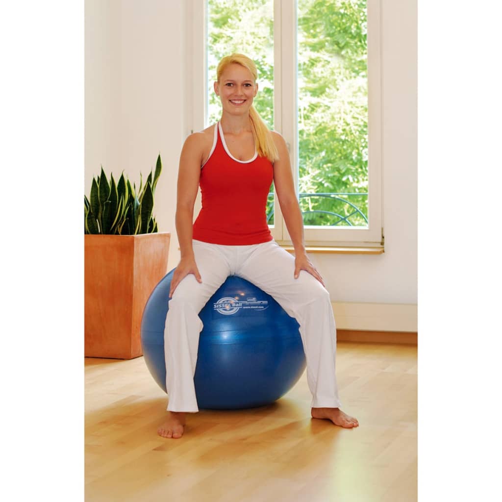 

Sissel Zitbal 65 cm blauw SIS-160.063