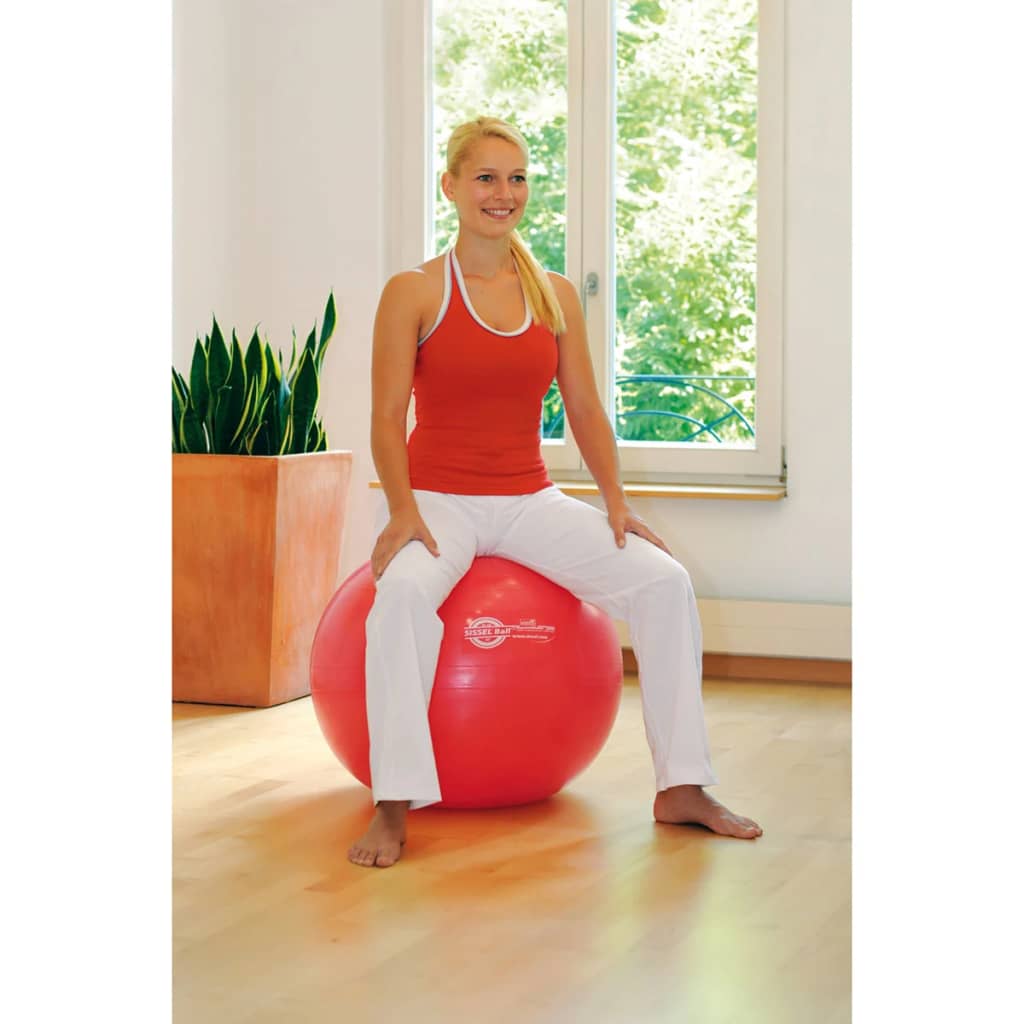 VidaXL - Sissel Zitbal 75 cm rood SIS-160.065