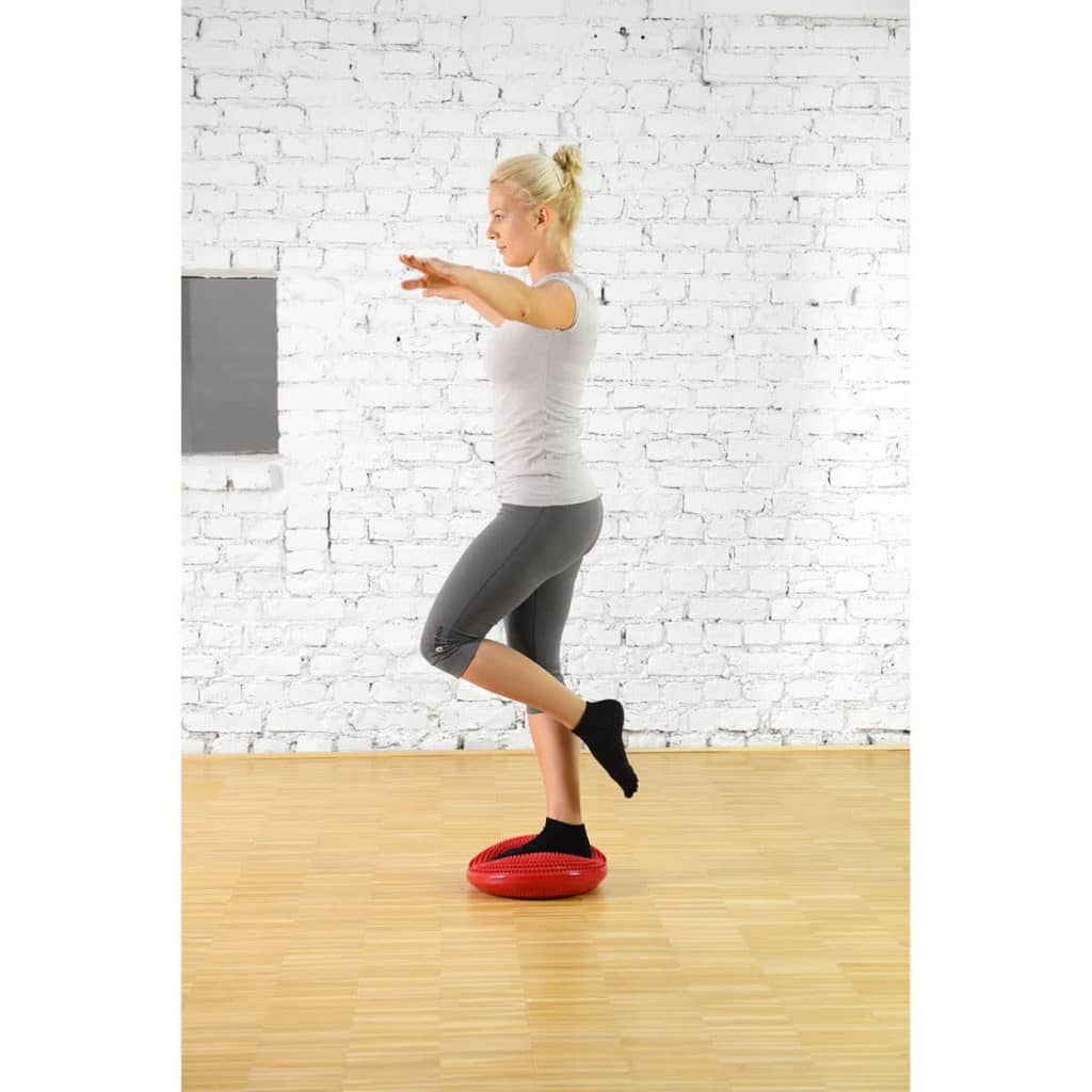 

Sissel Balansschijf Balancefit 32 cm rood SIS-162.030