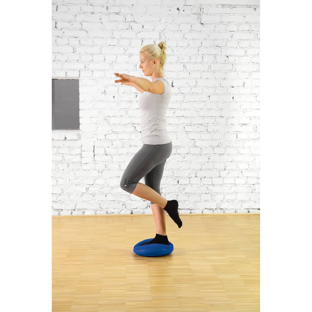 

Sissel Balansschijf Balancefit 32 cm blauw SIS-162.031