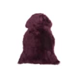 Lampaantalja violetti ULURU
