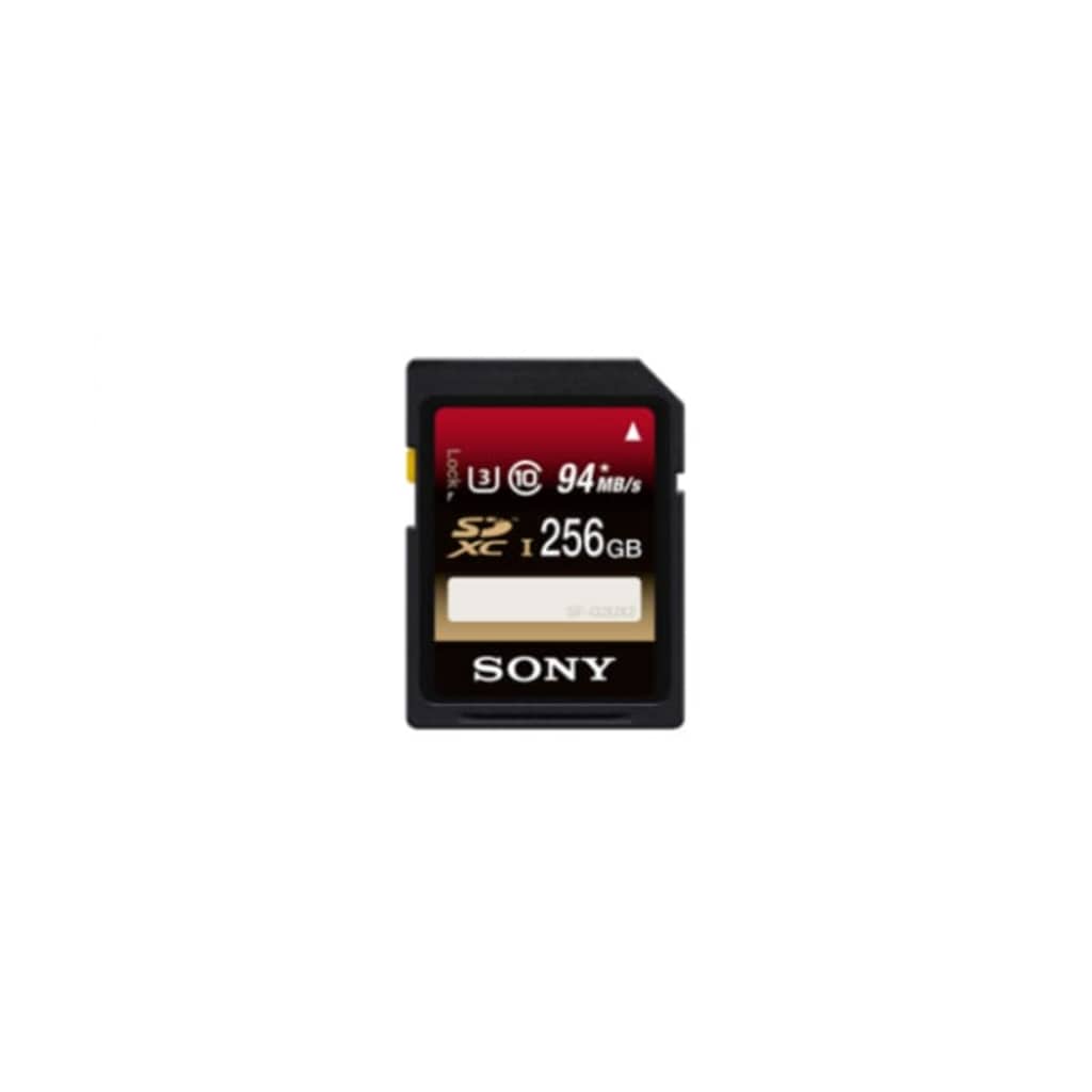 Afbeelding Sony SFG2UX2 256GB SDXC UHS-I Klasse 10 flashgeheugen Zwart door Vidaxl.nl