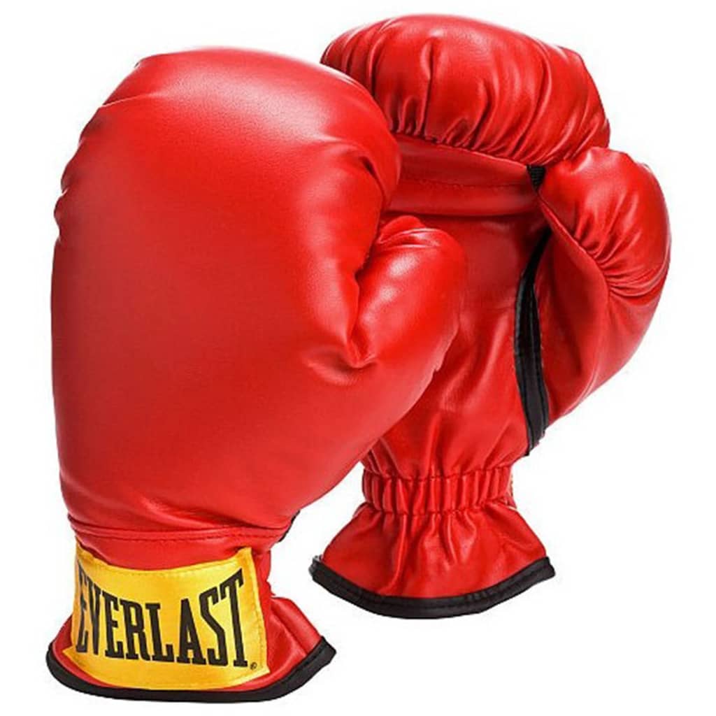 Everlast Boxing punching Bag