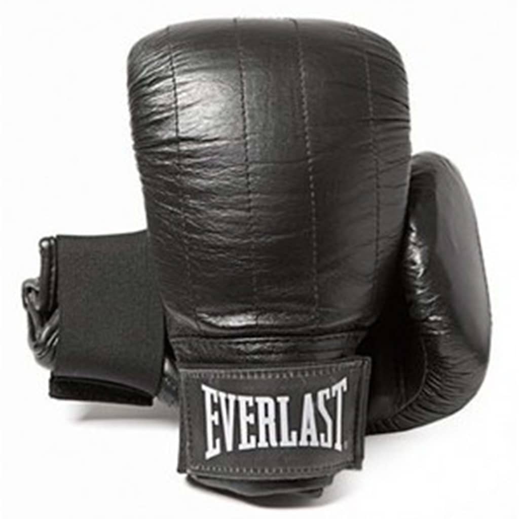 

EVERLAST Zakhandschoenen Pro Boston S zwart