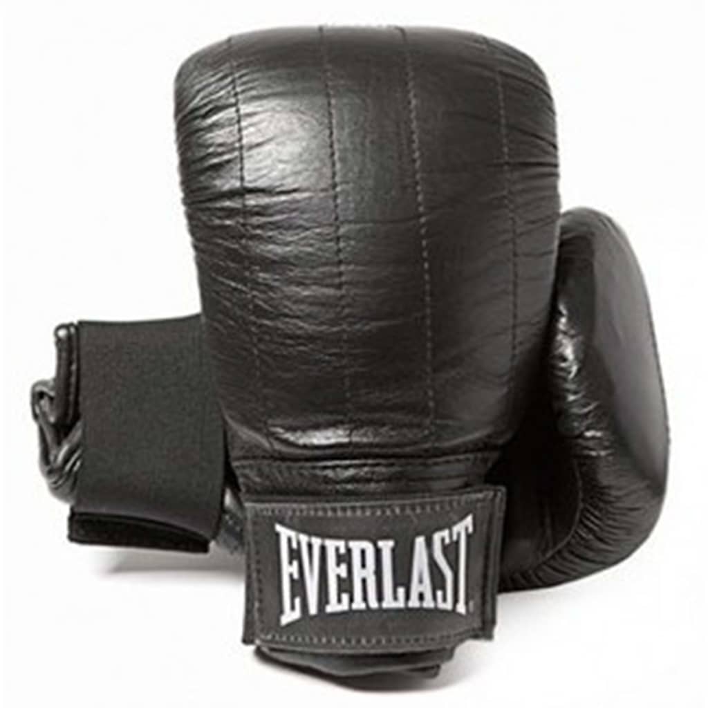 

EVERLAST Zakhandschoenen Pro Boston M zwart