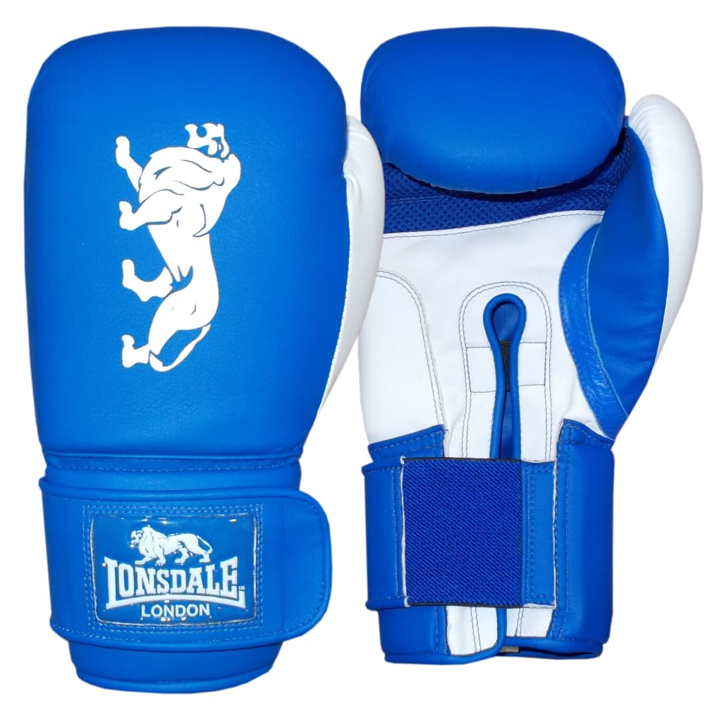 lonsdale 10oz boxing gloves