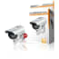 Tribalsensation Manichino Con Impianto Tvcc Per Monitoraggio Luce Led Lampeggiante tribalsensation kopen in de aanbieding Tribalsensation Manichino Con Impianto Tvcc Per Monitoraggio Luce Led Lampeggiante tribalsensation kopen in de aanbieding