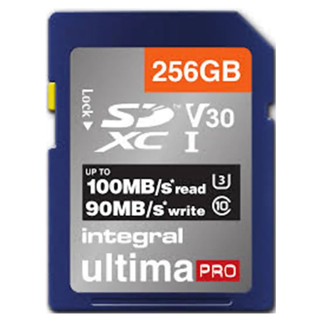 Blue Lagoon Integral Sdxc V30 100/90mbs Pro 256gb