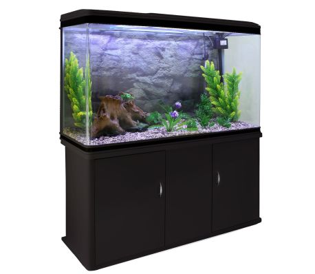 aquarium complete kit